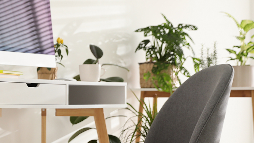 Desk with plants surrounding it