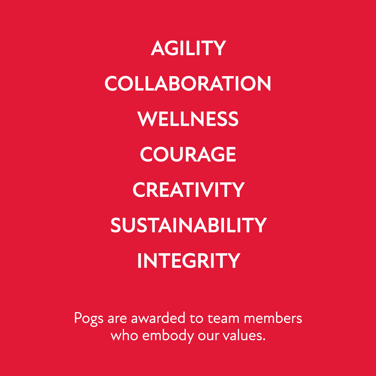 Celebrating Our Values: 10 Years of Pogs | Trampoline Branding