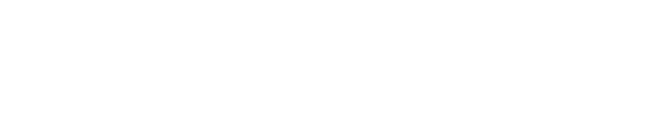 Trampoline Branding Logo